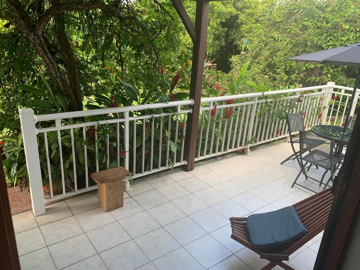 Logement Vacances Gissac Sainte-Anne Eksteriør bilde
